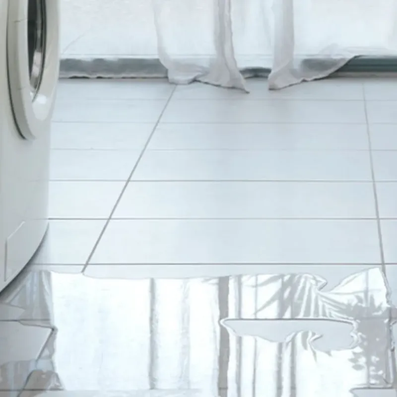 Appliance Leak Cleanup in Huntertown, IN