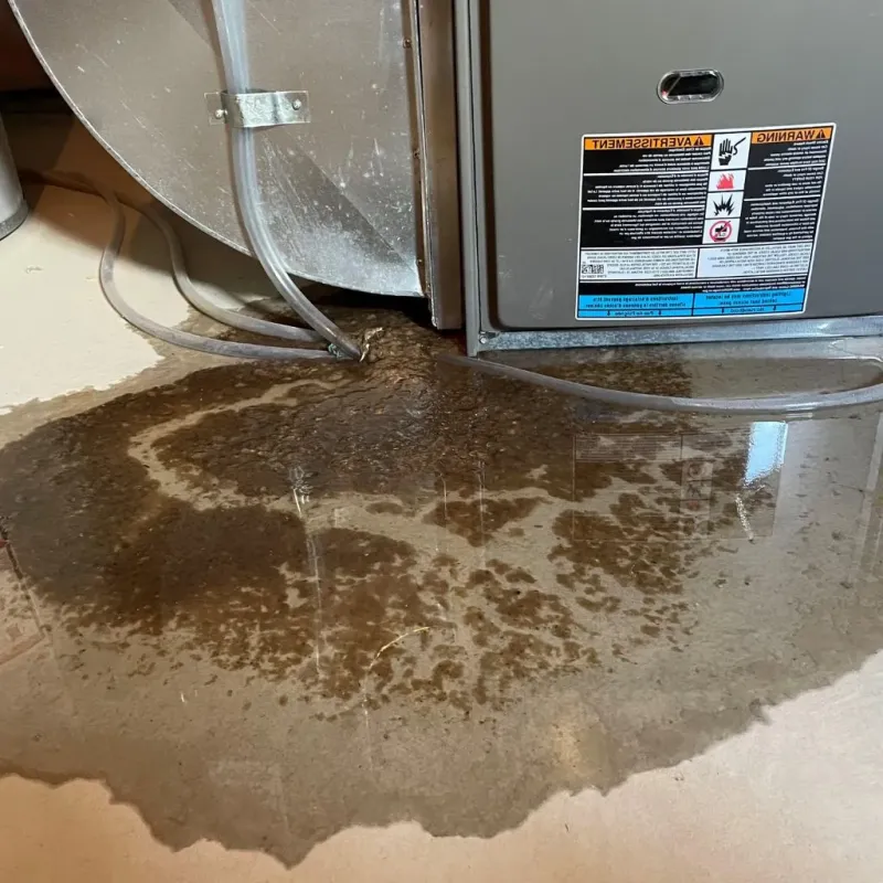 Pipe Burst and Leak Restoration in Huntertown, IN