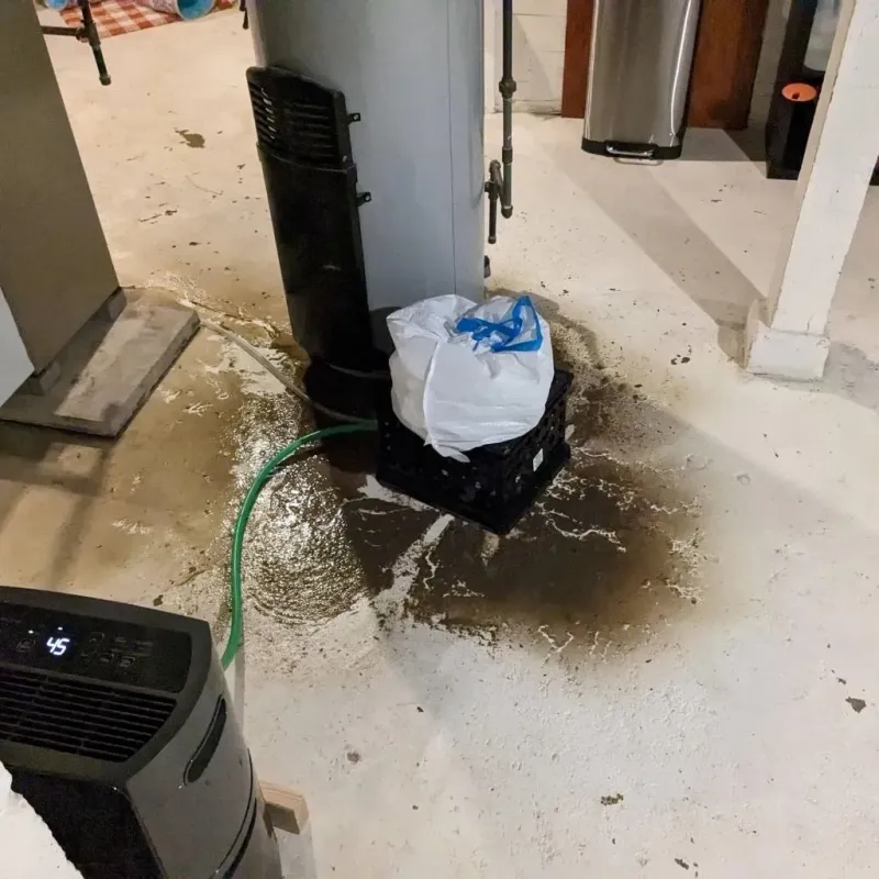 Sewage Backup Cleanup Service in Huntertown, IN